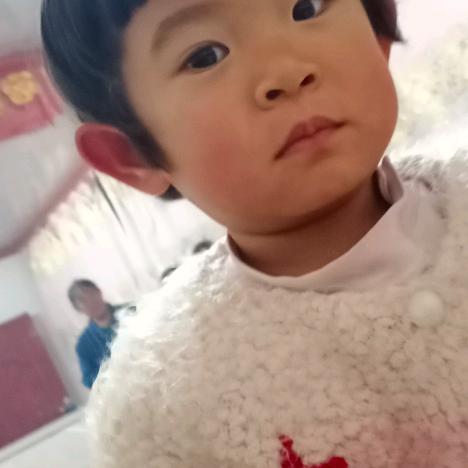 梦琪，思琪