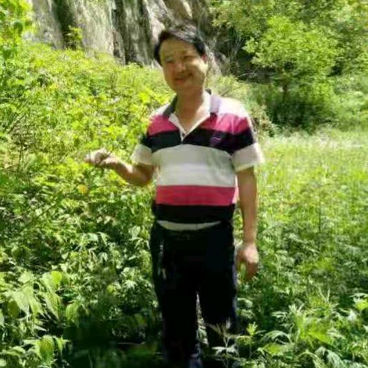 王伟