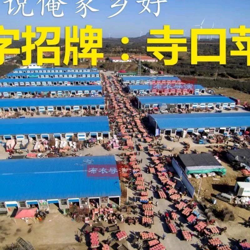 鲁烟栖果业