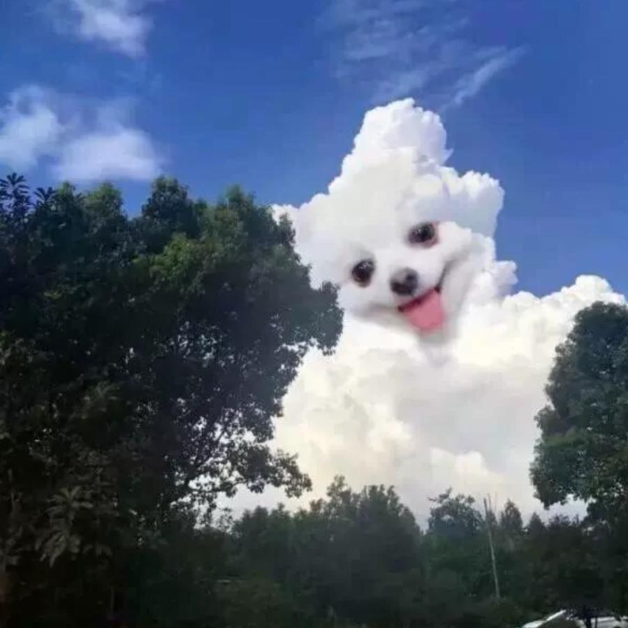 明天更美好(｡･ω･｡)ﾉ♡