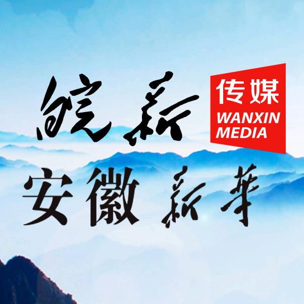 安徽新华电子音像出版社