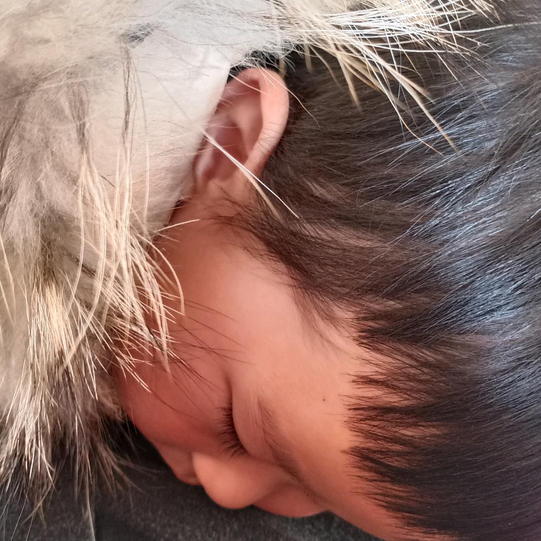 十六六六六六六