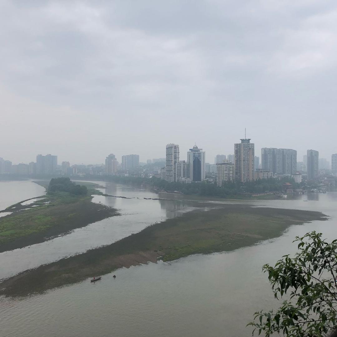 锋之杨霖