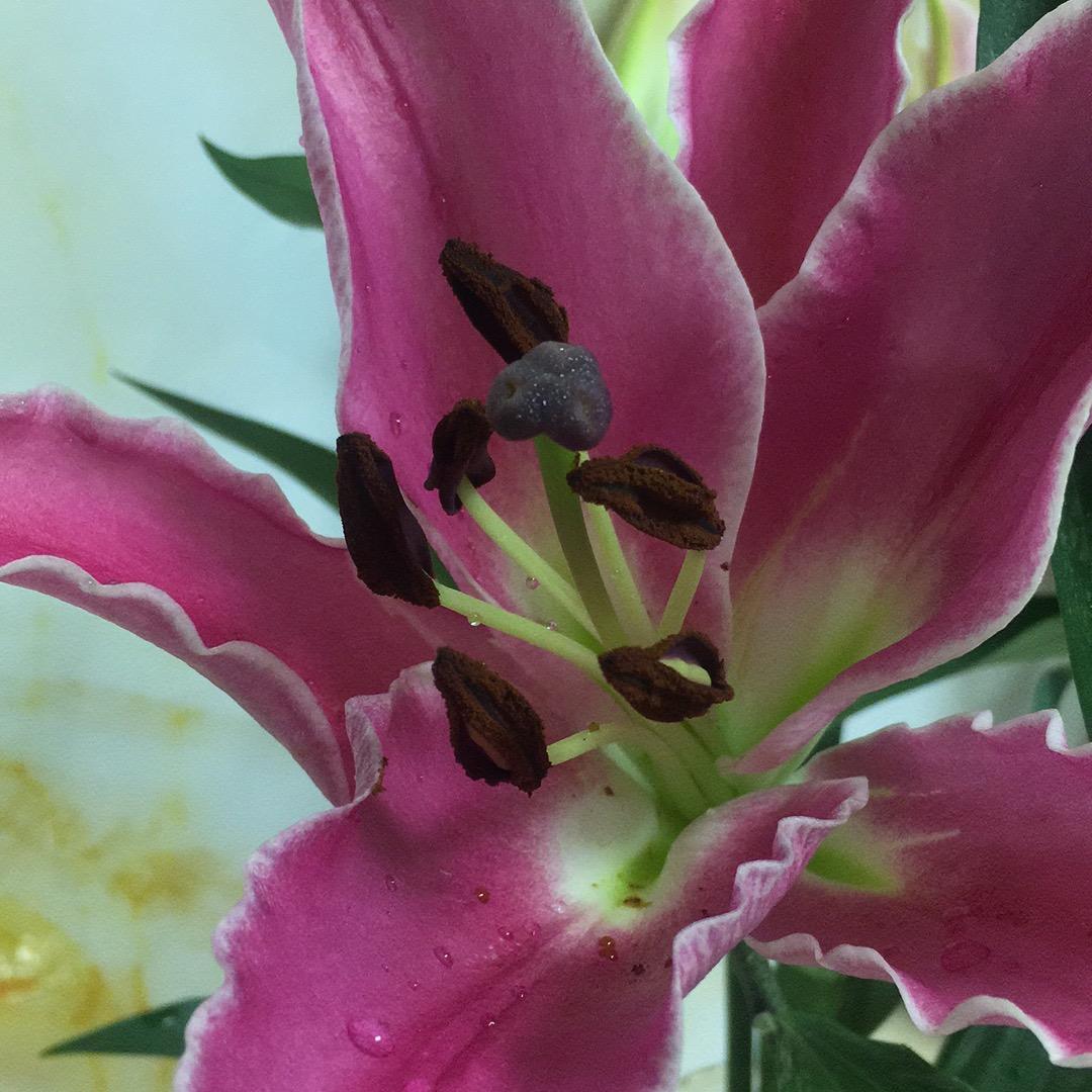 敏姐🍀🌷