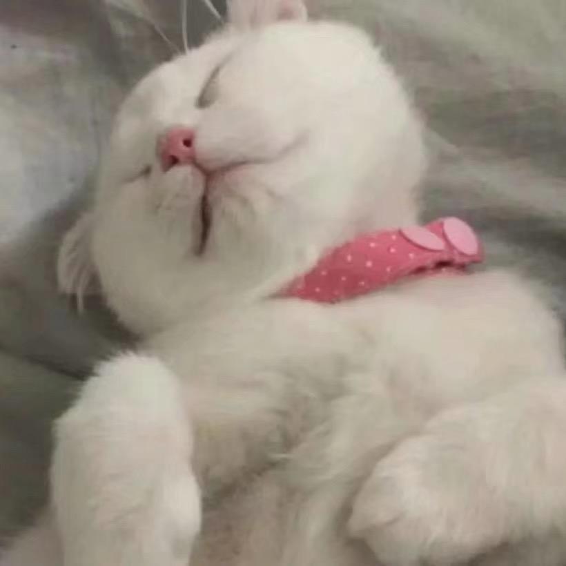 👉如❤️奕