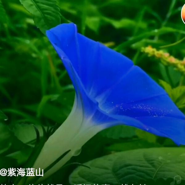 似水流年