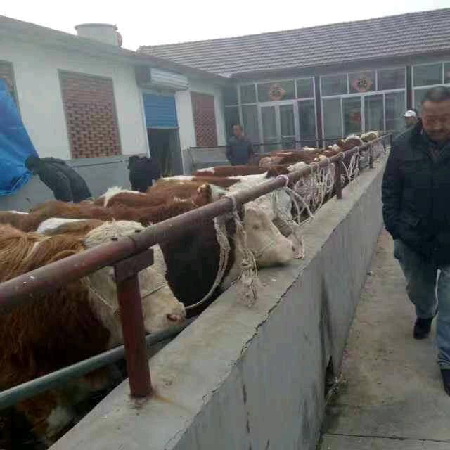 章