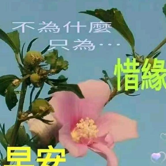 大连梵云车行宋海波