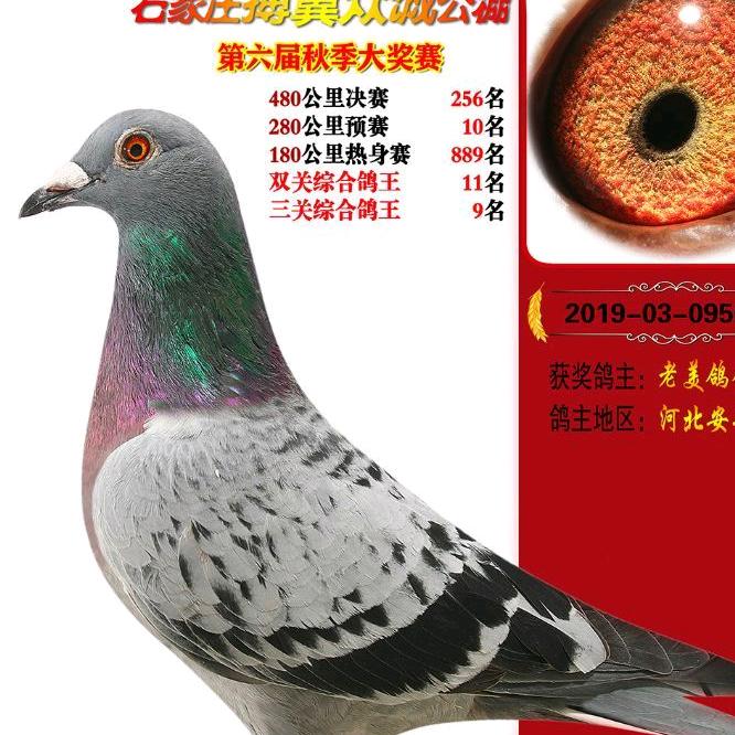 安平西环检测站中煤办事处老美