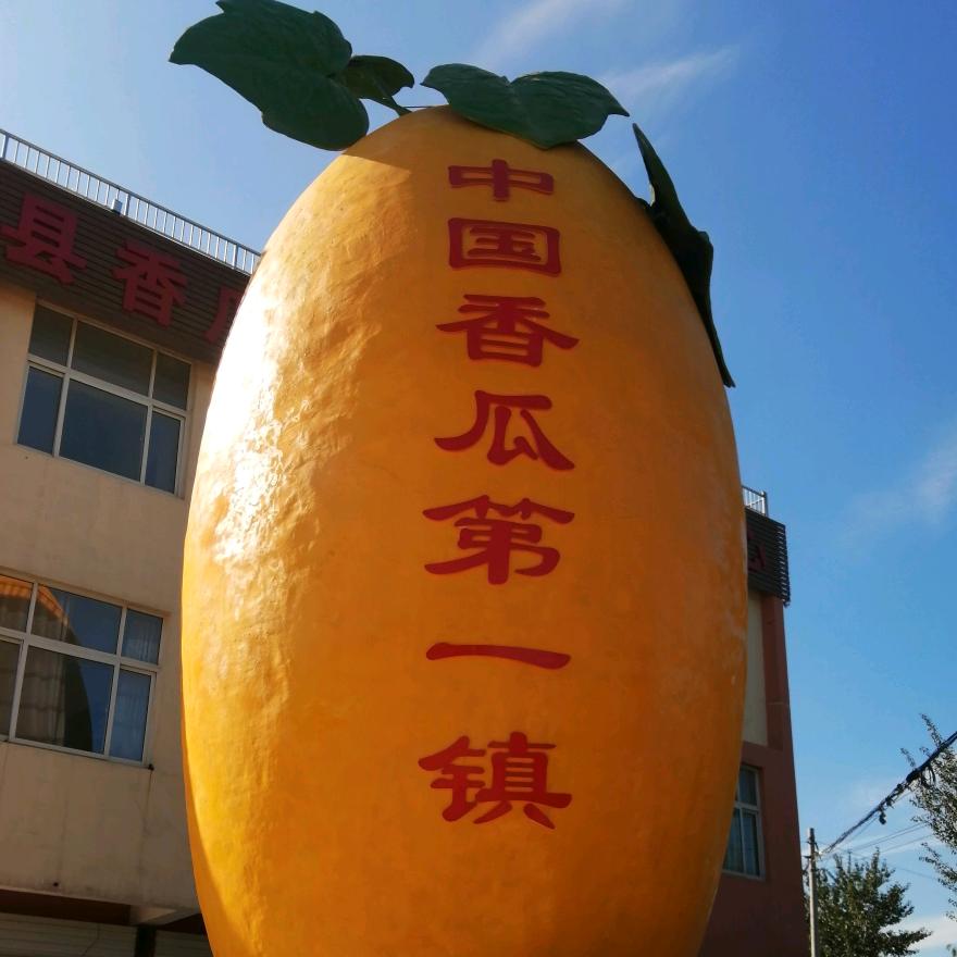 武刚果蔬供应链