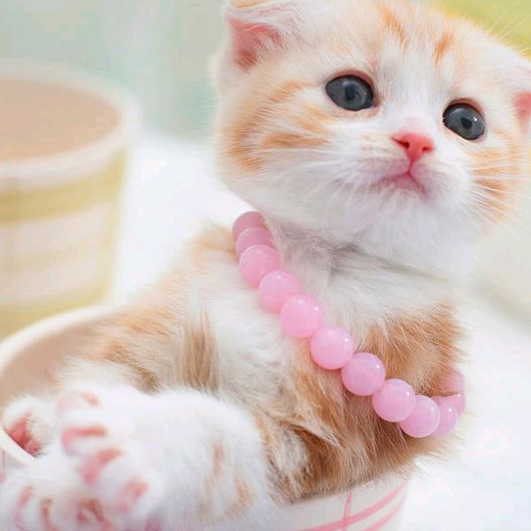 @🥀এ᭄ོ遇ོ💞见ృ༊: 💞ঞ᭄