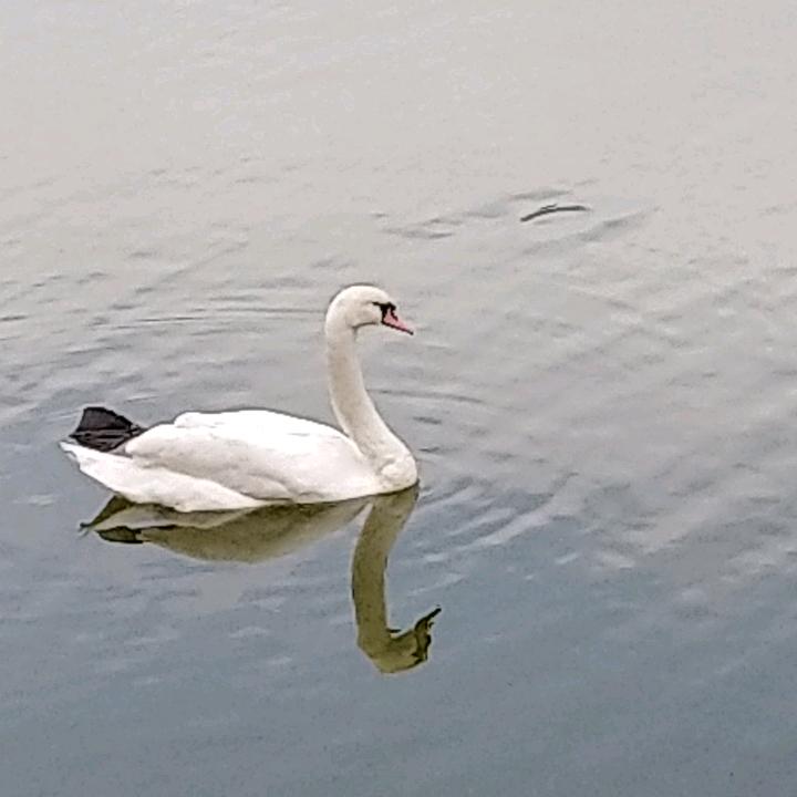 青幽静海