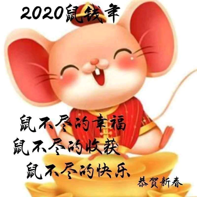 小鱼儿乐乐