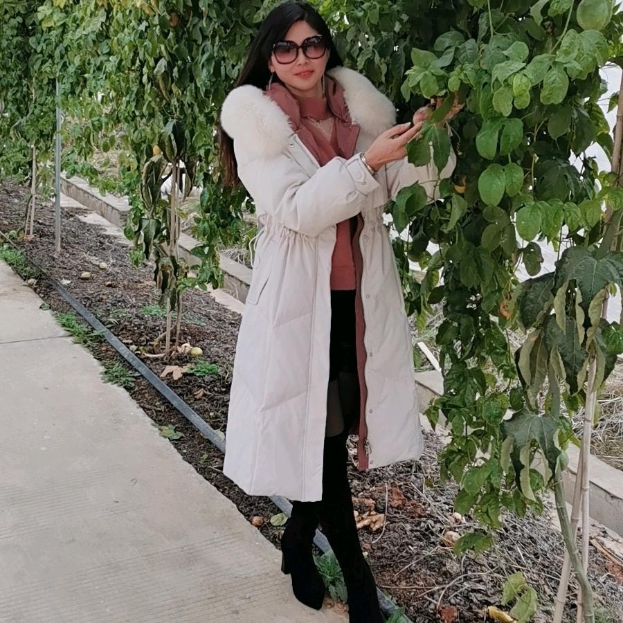 知足常乐💕💕《橱窗有好物🌹🌹》