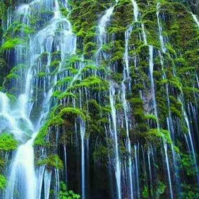 杞源鲜踪燕为邻滋补专卖店