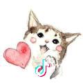 duier