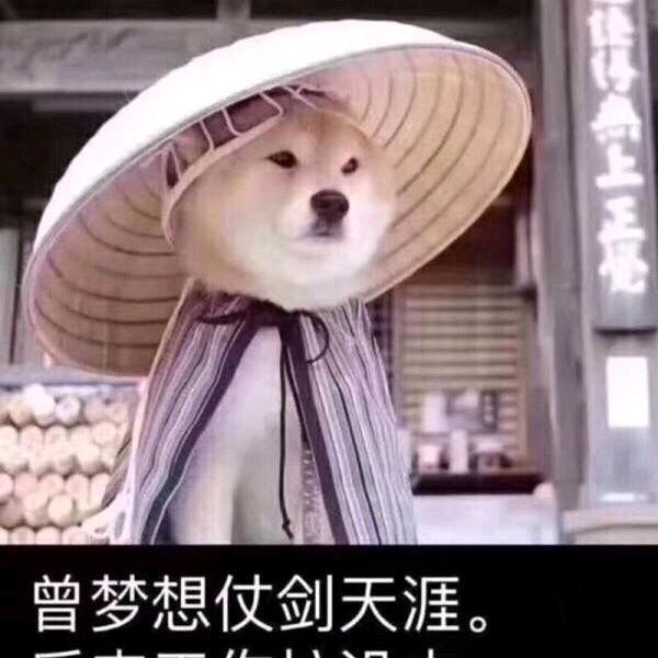 疯狂大白菜