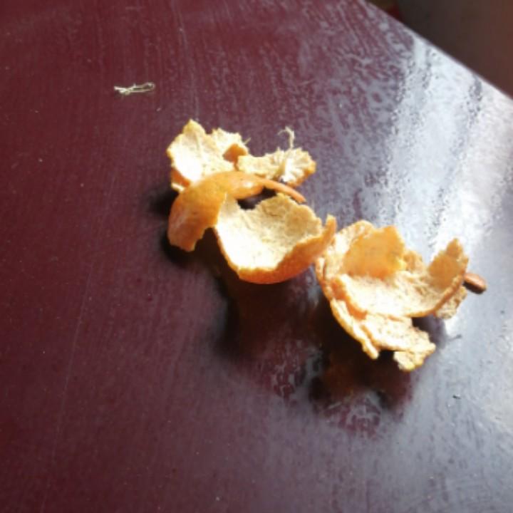 风中的雨