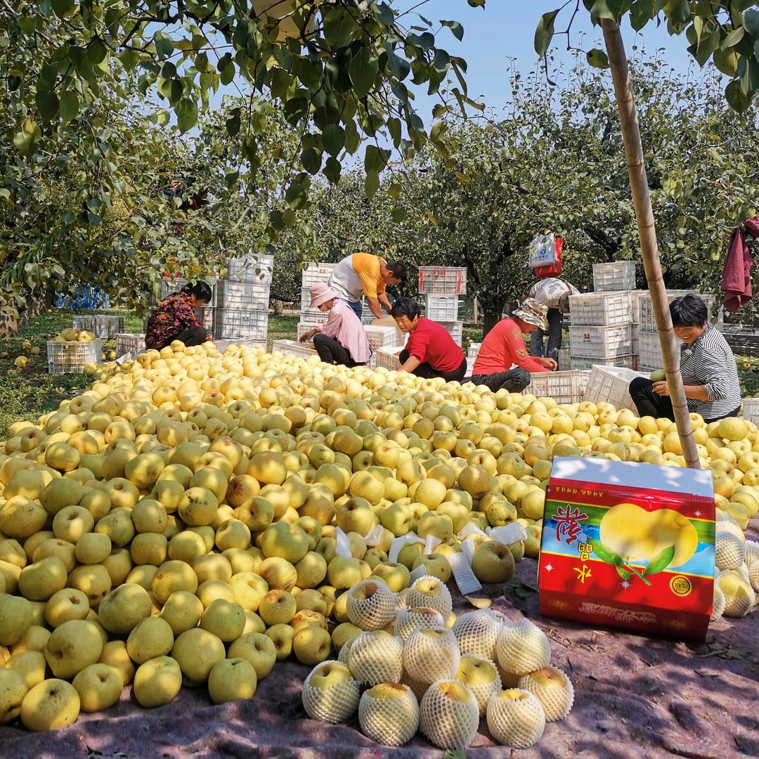 易经与科学和人生