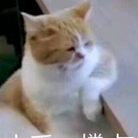 不太对劲儿啊