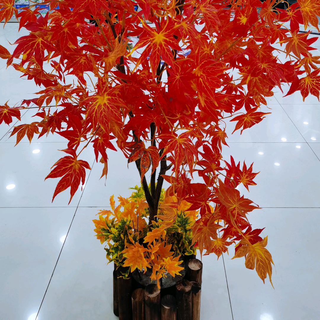 用户6852297759198方糖