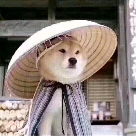 逍遥哥