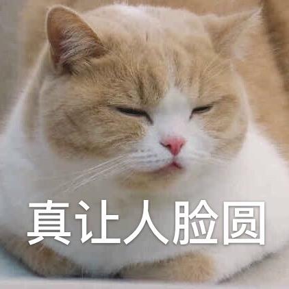冬日的暖阳