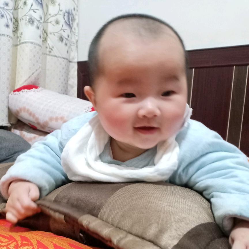 杨刚