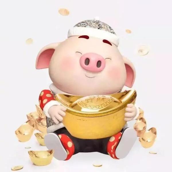 波少爷