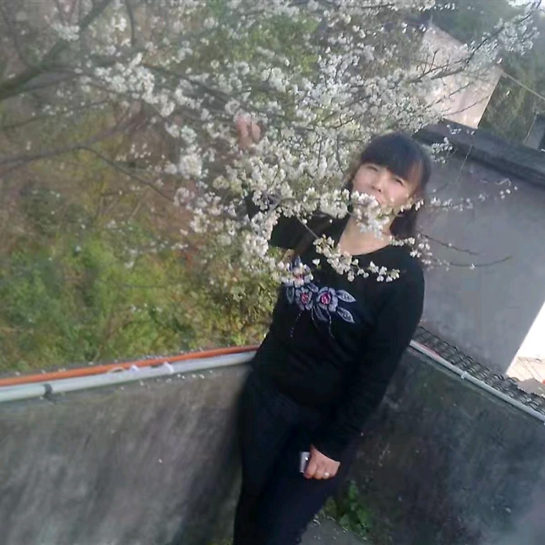 小菊