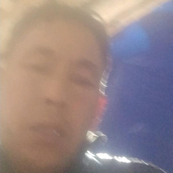 龙飞凤舞
