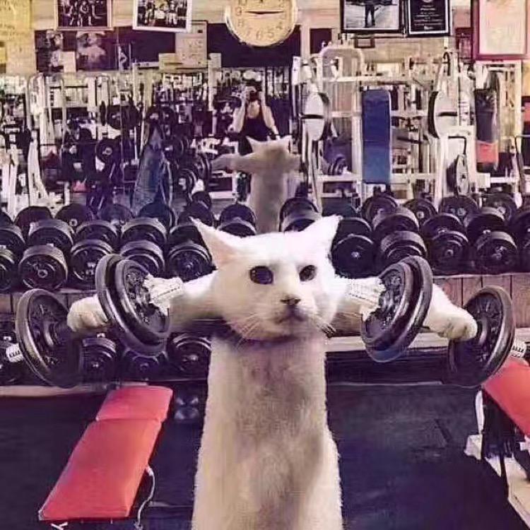 我是小短腿znznznznsnznzns