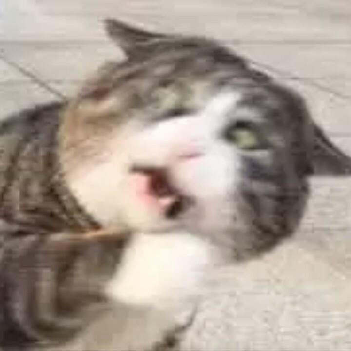 虎牙哥哥