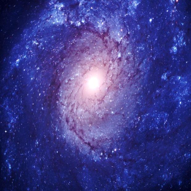 玥日星蕊
