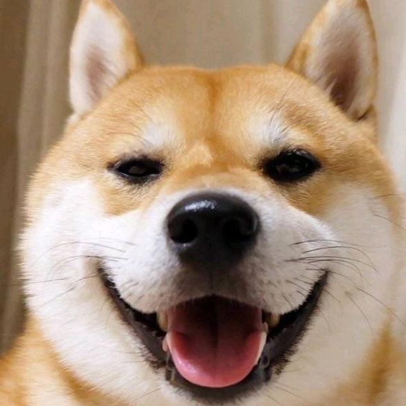 半俗不雅