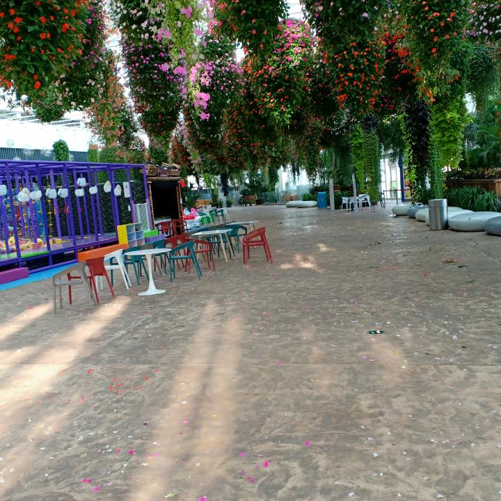 蹲在坟头蹦野迪丶