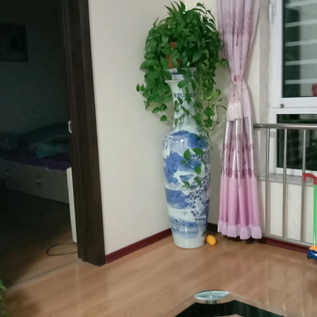 梦想成真