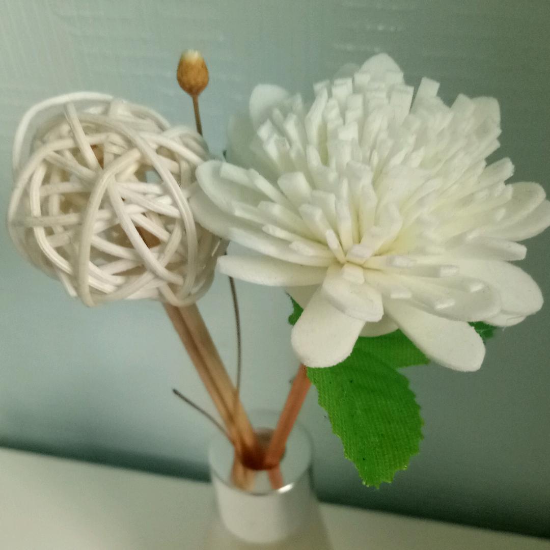 小姚