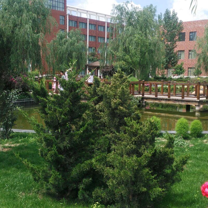 农村娃♥（张艳）♥