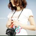 WenWen