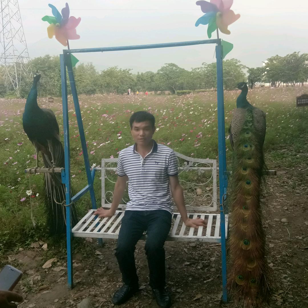 天然翡翠，八点一