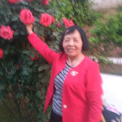 杨姐