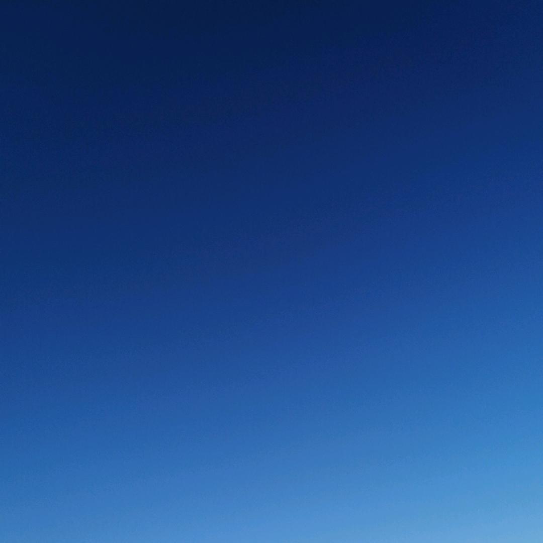 鱼