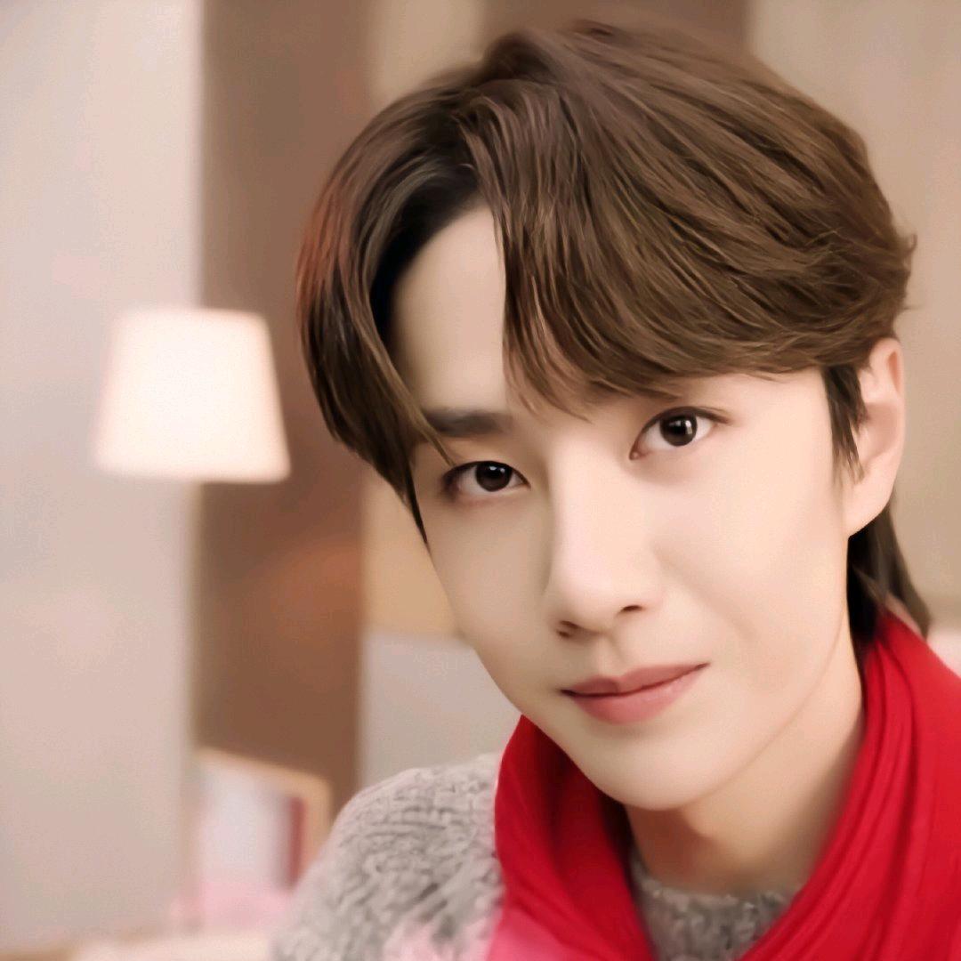 猫猫爱吃甜甜圈