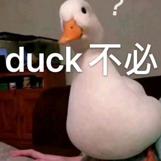 Duck.ho