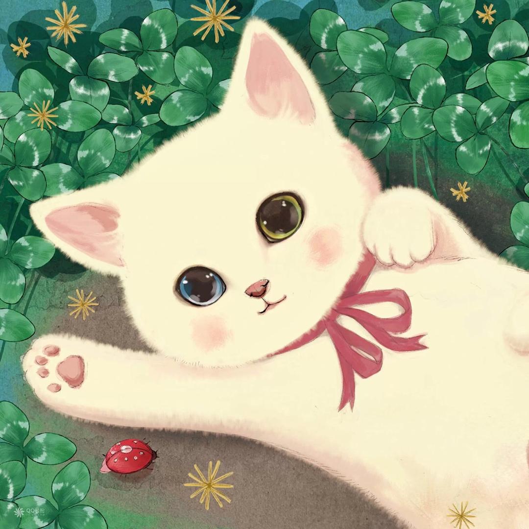 猫猫影视
