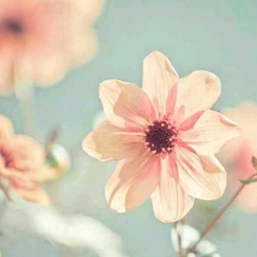 🌞爱生活🎤爱唱歌🌞唱歌🎤