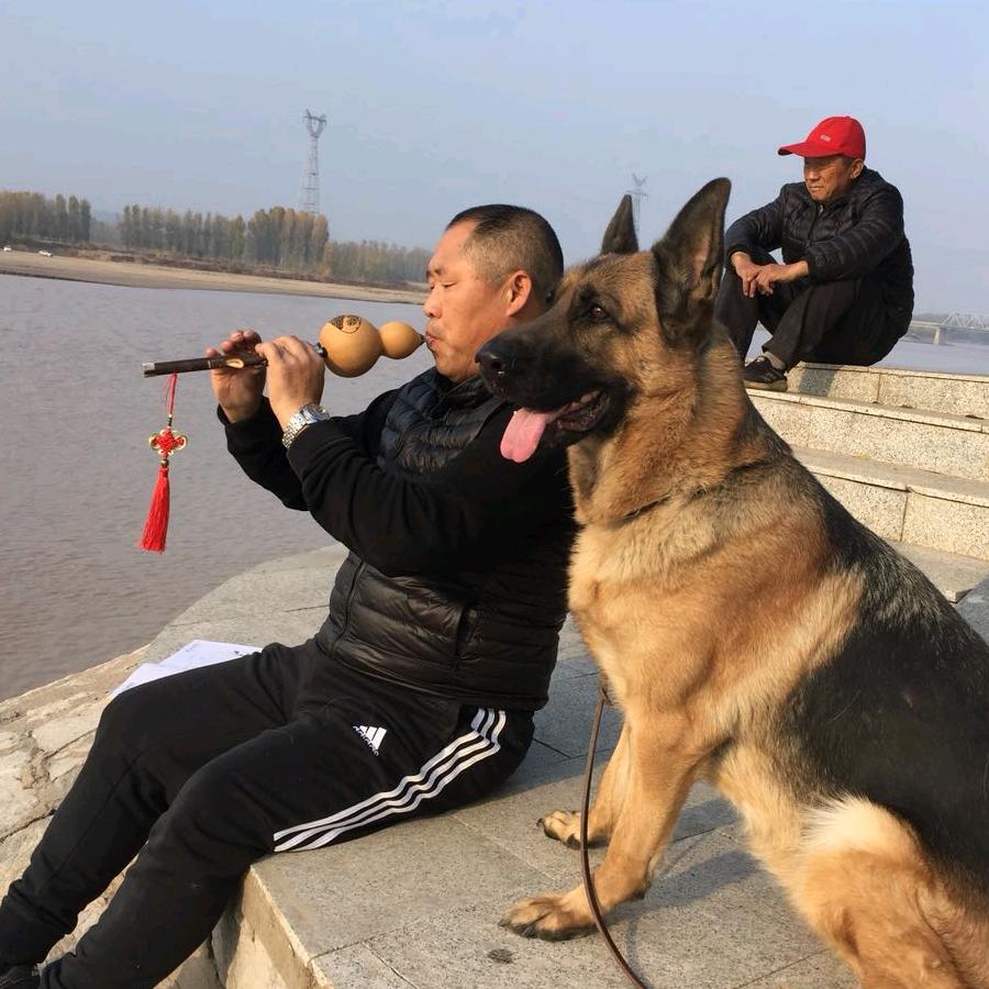 秋天（黄河岸边）