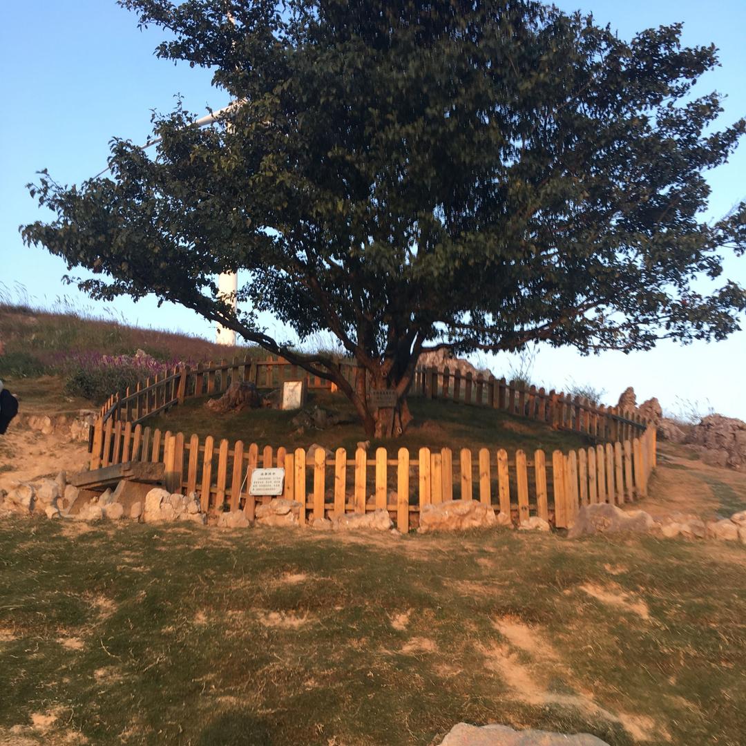 一年更比一年好