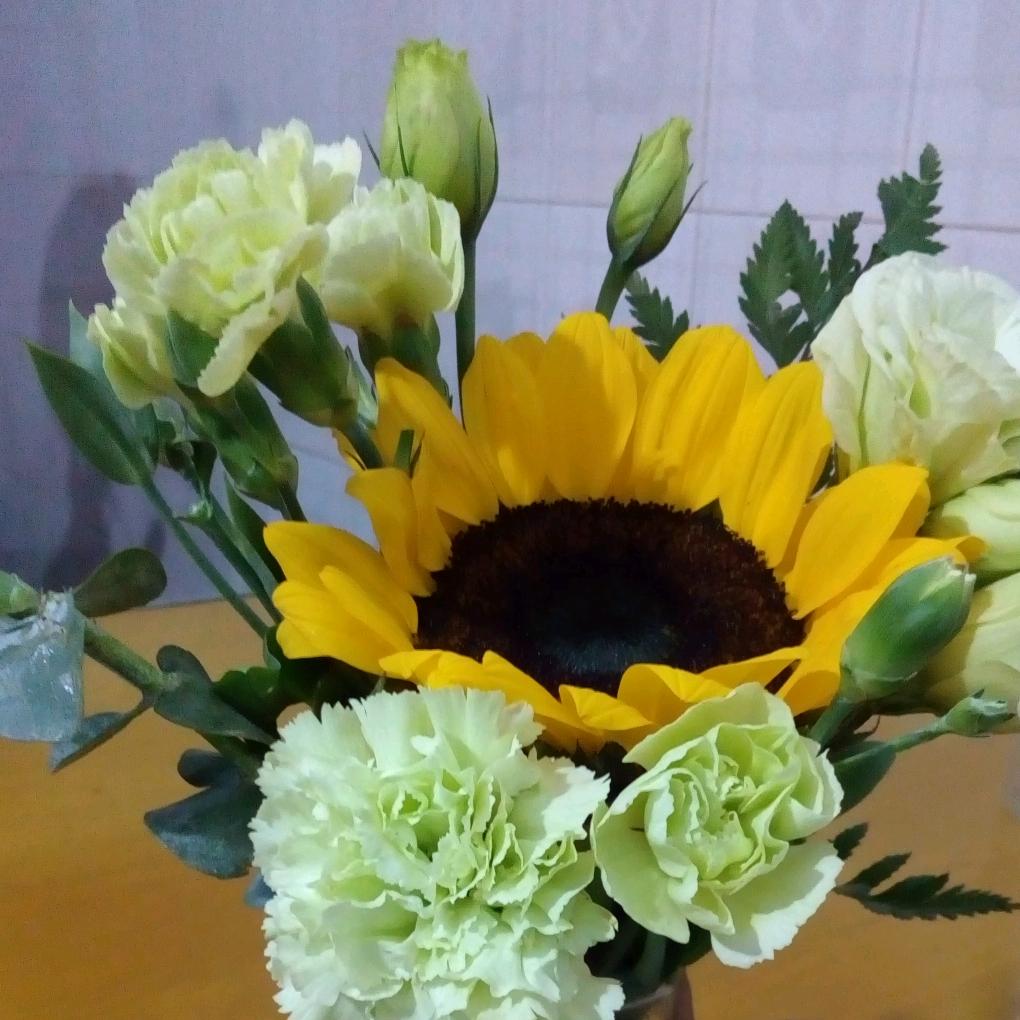 心若不动，风又奈何